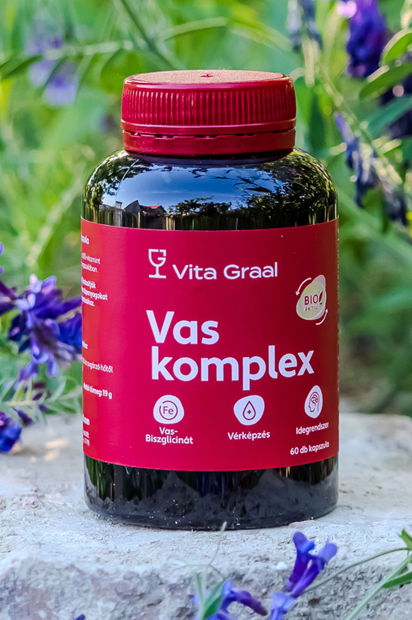Vas komplex - Image 2
